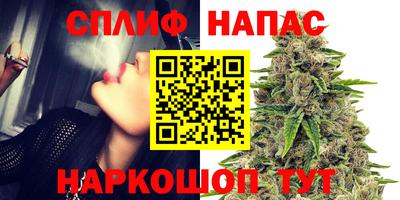 гидра Апшеронск