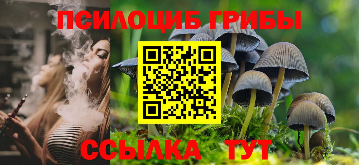 купить   Галлюциногенные грибы Psilocybe  Вход с VPN  Воркута 